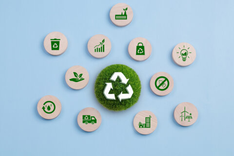 Building Exporter Resilience Amid Evolving EU Packaging Regulations