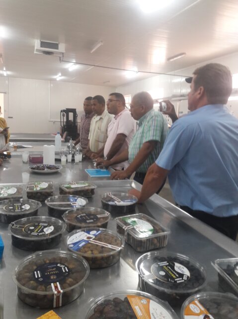 Réunions de concertation et de prospection pour une coopération SIPPO – ASMEX et la GIZ dans la filière des dattes