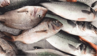 Poisson et fruits de mer