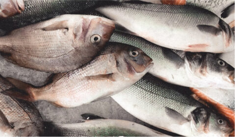Poisson et fruits de mer
