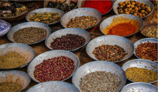 Les aliments transformés